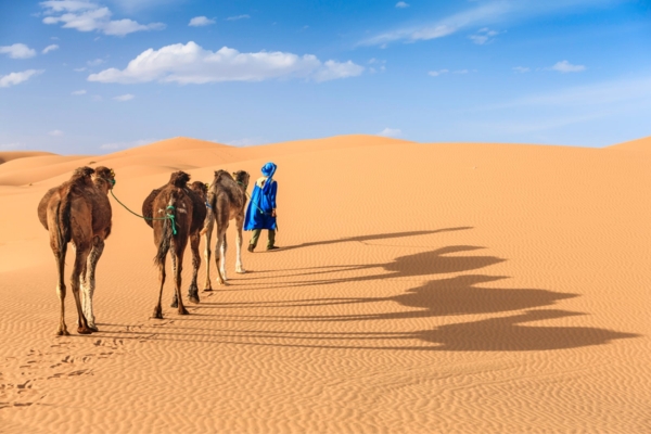 Offerta Last Minute - Marocco - Esplorazione del Grande Sud Marocchino in 4x4 con Francorosso Wow Viaggi