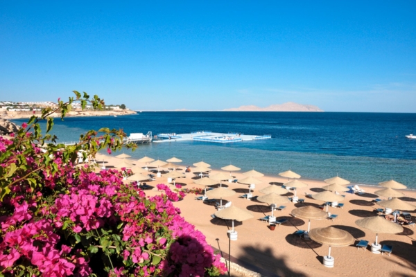 Offerta Last Minute - Esperienza di Lusso al Domina Coral Bay Sultan Resort - Sharm El Sheikh - Offerta Eden Viaggi