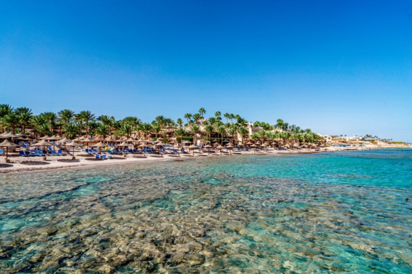 Offerta Last Minute - Esperienza di lusso a Sharm El Sheikh: Bravo Premium Tamra Beach con Wow Viaggi - Offerta Bravo