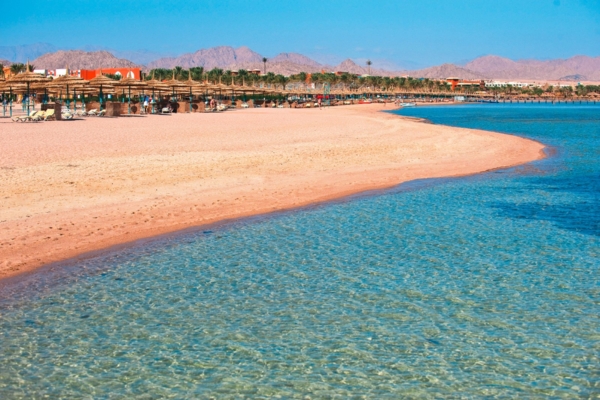 Offerta Last Minute - Sharm el Sheikh - Amwaj Oyoun Beach Resort - Lusso e Relax a Sharm El Sheikh - Offerta Eden Viaggi
